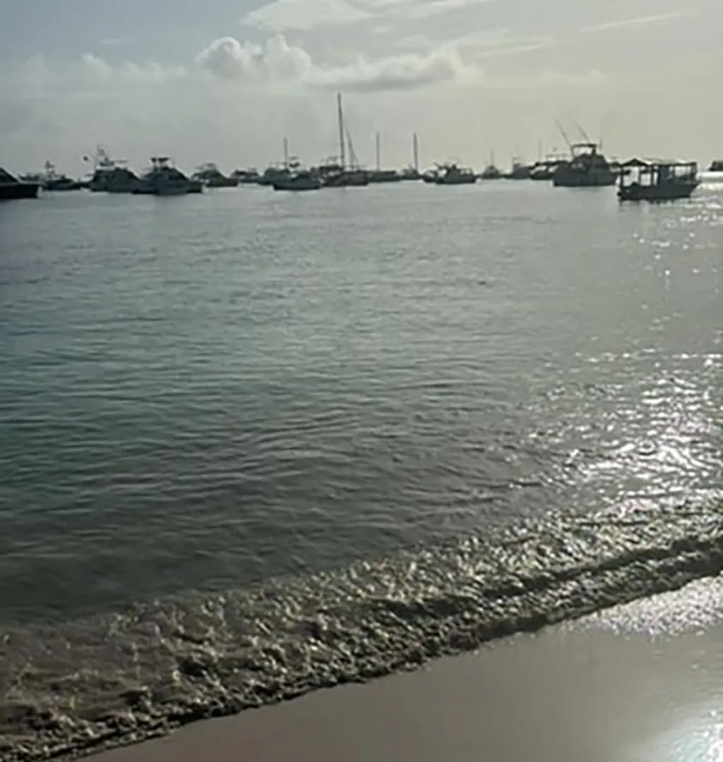Apartman Ocean Views & Private Beach! Luxury 4Bdr Getaway Punta Cana Dominikai Köztársaság