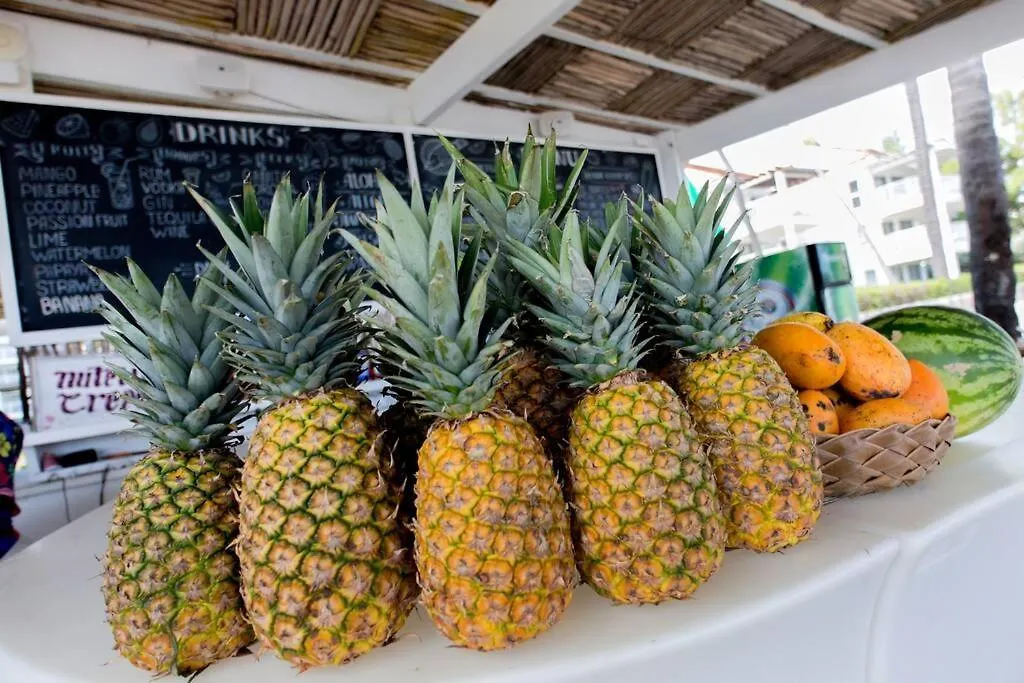 Apartment Ocean Views & Private Beach! Luxury 4Bdr Getaway Punta Cana Dominican Republic