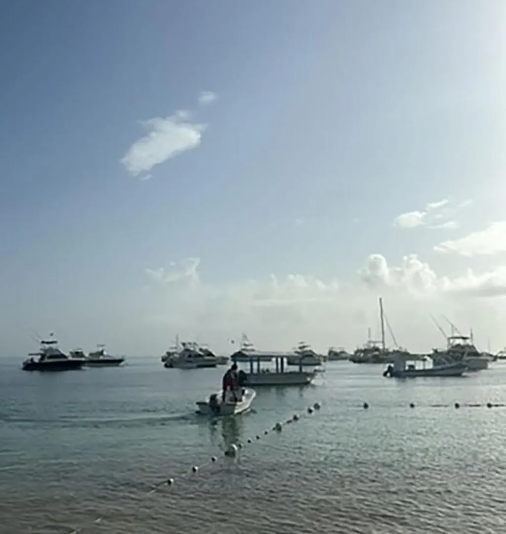Ocean Views & Private Beach! Luxury 4Bdr Getaway Punta Cana Apartment