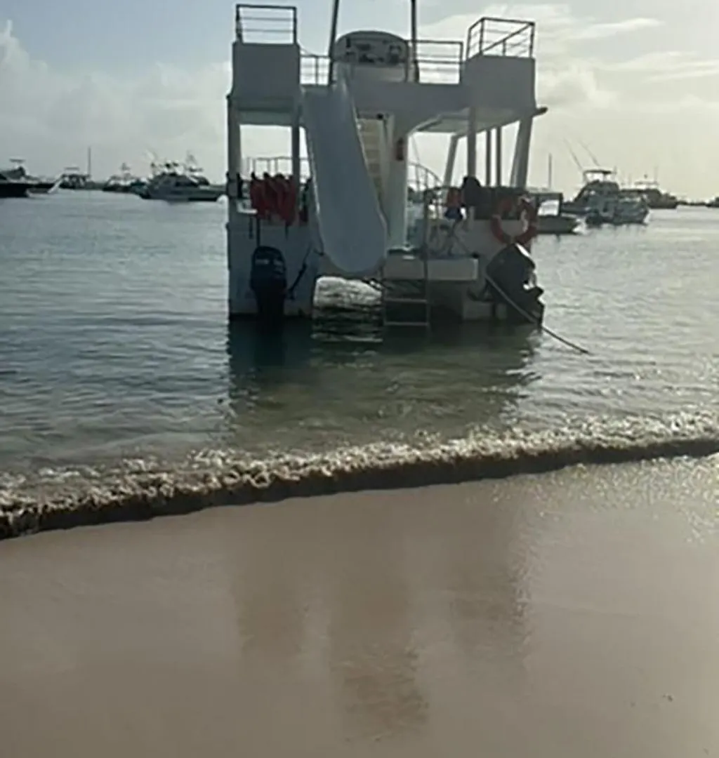 Ocean Views & Private Beach! Luxury 4Bdr Getaway Punta Cana 0*,  Dominican Republic